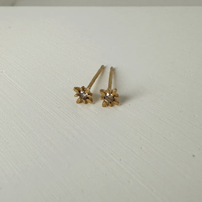 14K イエローゴールド コンパススターピアス ダイヤモンド付き スタッドピアス つけっぱなしOK ギフトにもおすすめ ARTAUM輸入セレクト MTF-2006