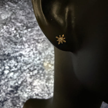 14K イエローゴールド コンパススターピアス ダイヤモンド付き スタッドピアス つけっぱなしOK ギフトにもおすすめ ARTAUM輸入セレクト MTF-2006