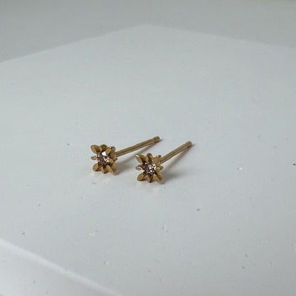 14K イエローゴールド コンパススターピアス ダイヤモンド付き スタッドピアス つけっぱなしOK ギフトにもおすすめ ARTAUM輸入セレクト MTF-2006